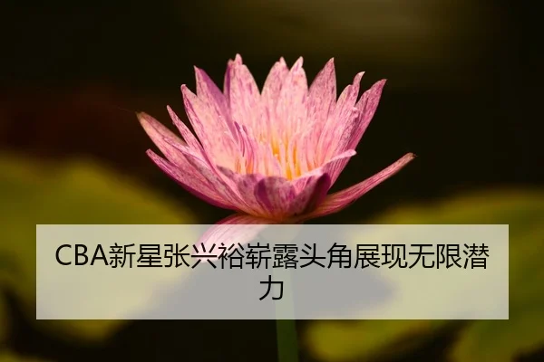 xin-xing-zhang-xing-yu-zhan-lu-tou-jiao-zhan-xian-wu-xian-qian-li-2-735.jpg